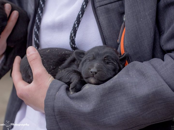 556517716_24871253332512558_6444712645929462233_n