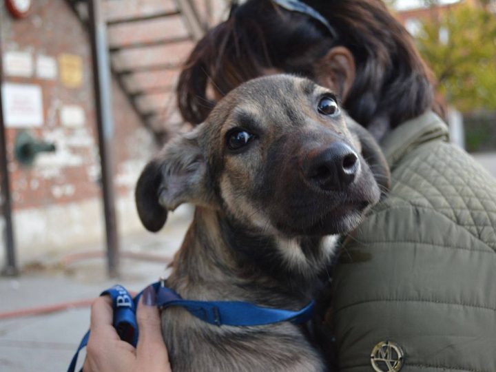 557897216_24943716505266240_7981502503002355135_n