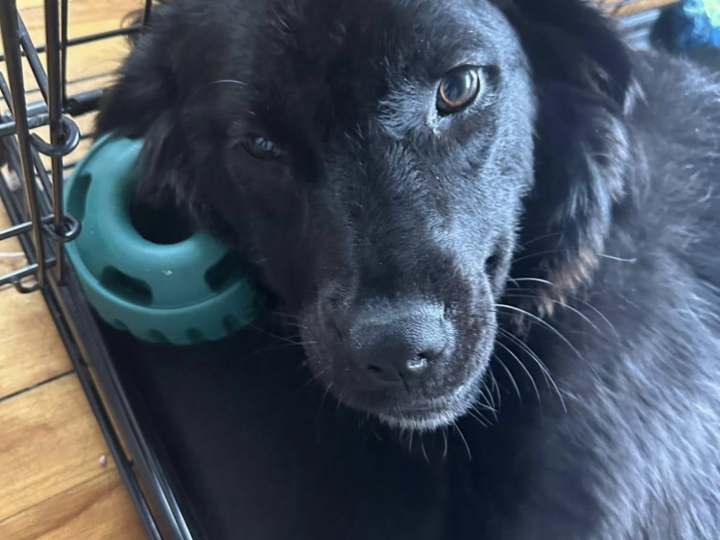 Screenshot 2025-09-08 alle 23.48.55